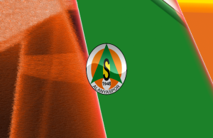 alanyaspor art